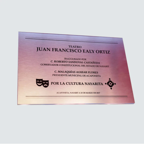 Placa de acero grabada con láser personalizada | 6 medidas