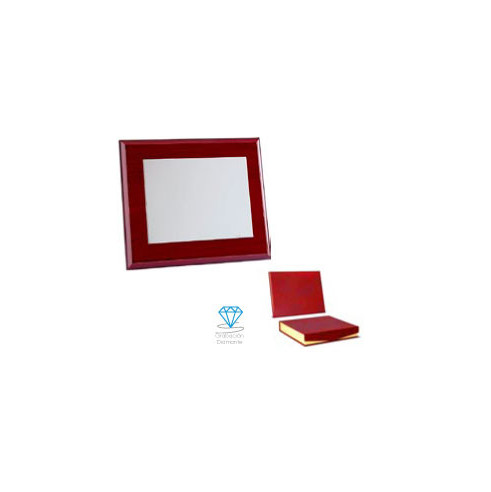 Placa homenaje de alpaca con baño de plata | Con estuche