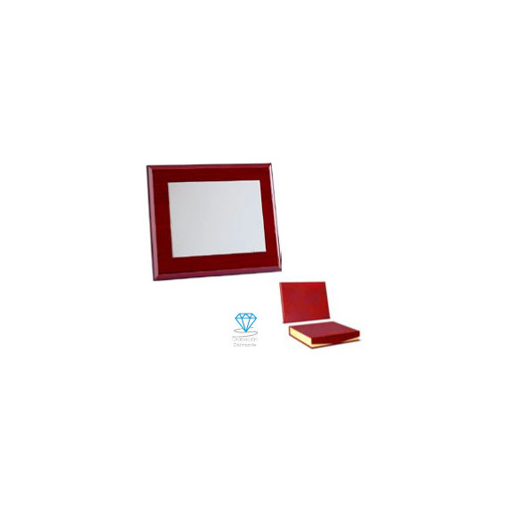 Placa homenaje de alpaca con baño de plata | Con estuche