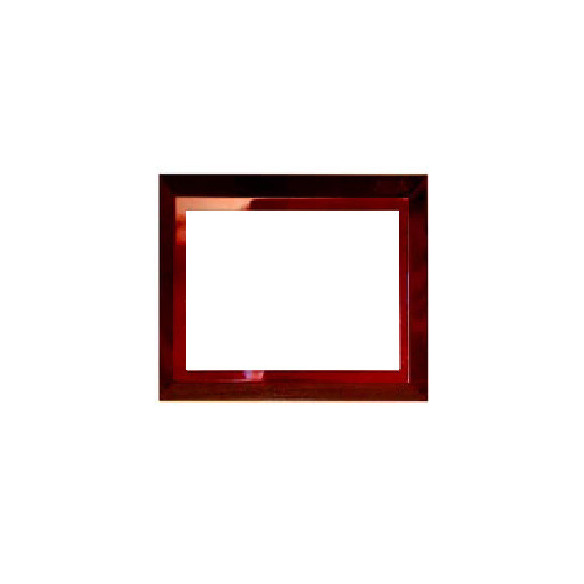 Placa homenaje Plix personalizada con estuche | 3 medidas