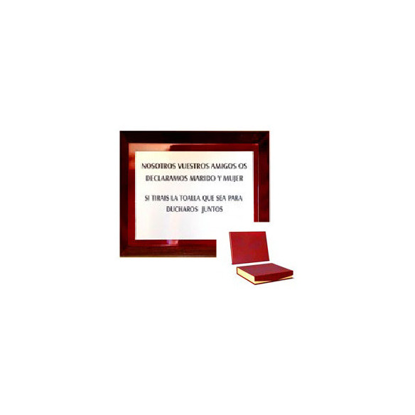 Placa homenaje Plix personalizada con estuche | 3 medidas