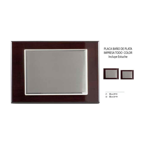 Placa homenaje baño de plata a todo color | Con estuche