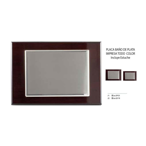 Placa homenaje baño de plata a todo color | Con estuche