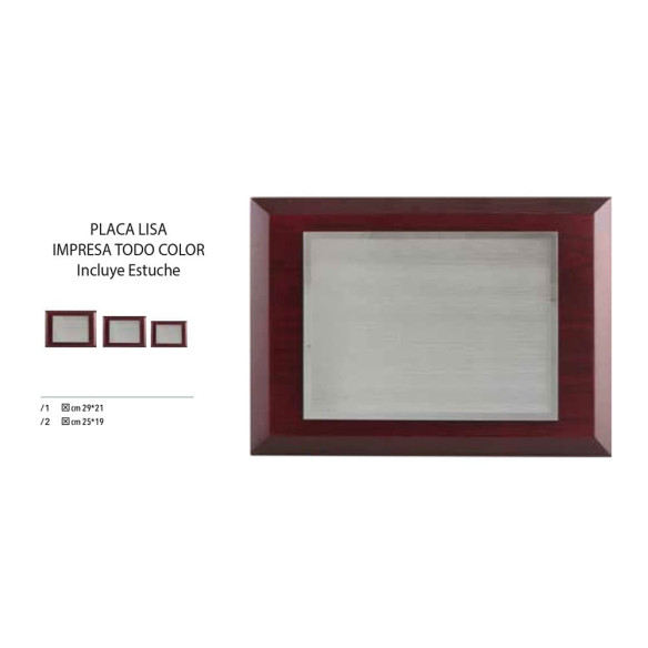 Placa homenaje lisa impresa a todo color | Con estuche