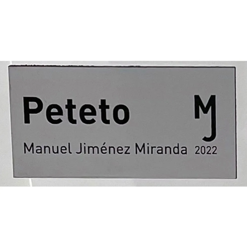 Placa de buzón rectangular personalizada | Desde 4 €