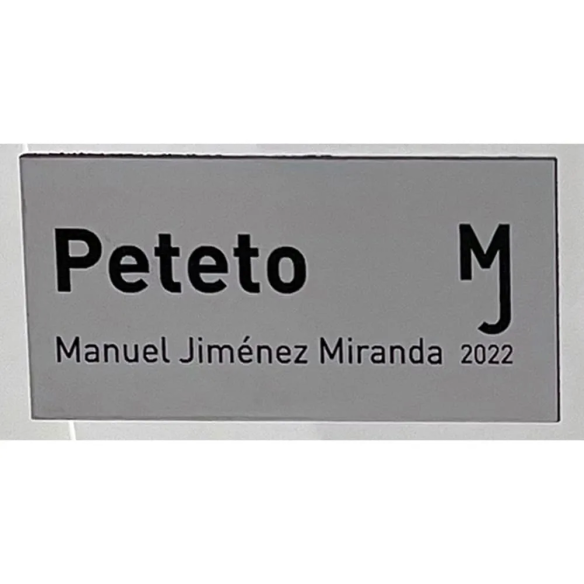 Placa de buzón rectangular personalizada | Desde 4 €